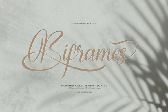Biframes Typeface for Elegant Branding